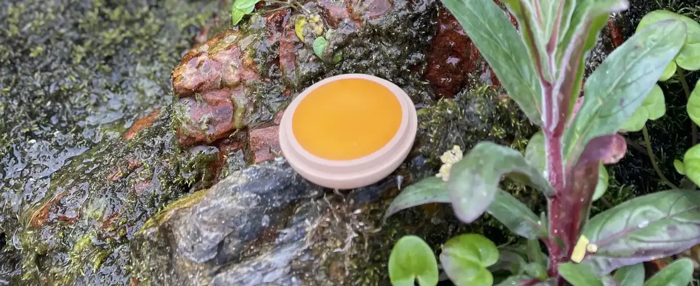 Hand-poured artisanal beeswax lip balm in wooden pots