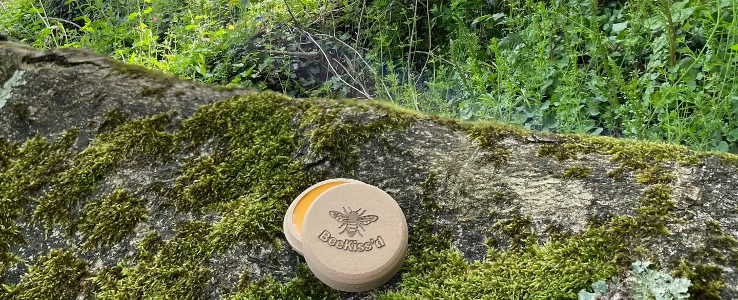 Minimalist beeswax lip balm in plain wooden packaging