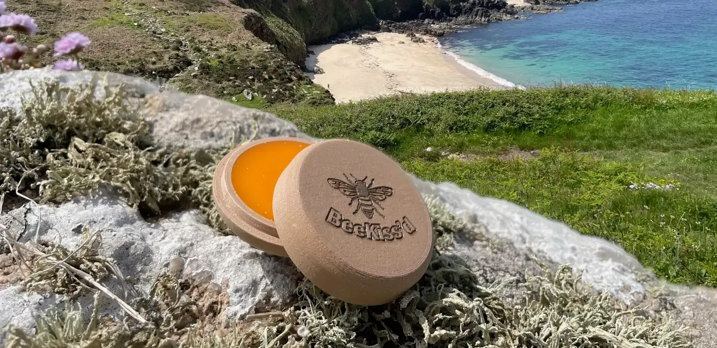 Plant-based lip balm with natural oils and pigments